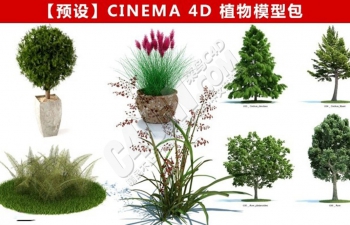 CINEMA 4D植物模型花草预设包