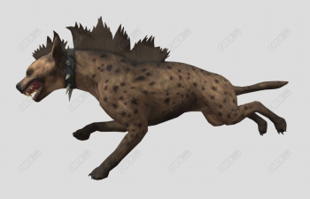 C4D追逐猎物奔跑的鬣狗模型(包含绑定动画)