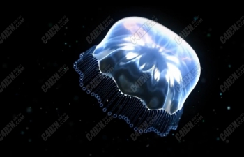 C4D制作透明材质海洋生物水母建模材质Octane渲染器教程 Alien Jellyfish Tutorial ...