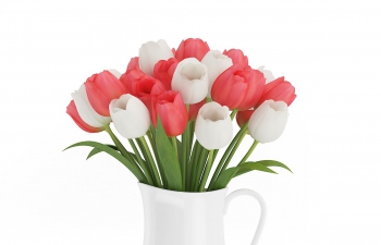 C4D㻨ģ Red and White Tulips