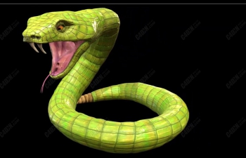C4D̴ģ Big Green Aggressive Snake Model