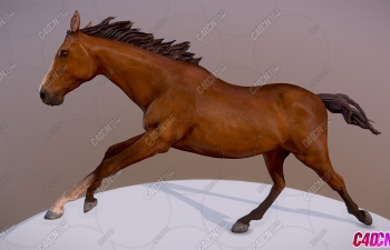 еĿģ Horse running