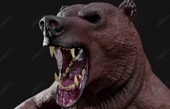 C4Dվǿ׳ģ Strong Bear Model