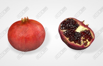 ƷC4Dˮпĺʯʳģ Pomegranate