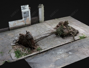 C4DεڵصĿģ Broken Tree Sidewalk Model