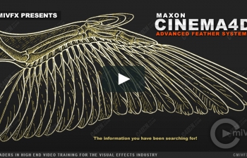 Cinema 4D软件高级羽毛系统教程
