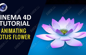 C4D΢΢ĺɻģȾ̳ Animating Lotus Flower