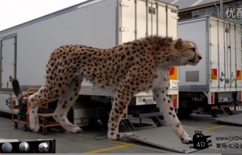 ԴCX-5ӹ - Making of Mazda CX5 Cheetah