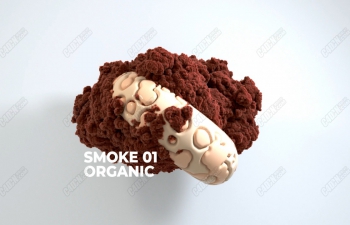 C4D Smoke Organic