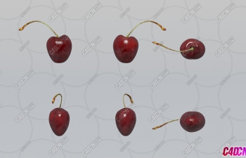 ӣˮģ Cherries Fruit model