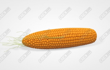 C4DѿװũģԴ Corn