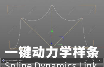 C4D一键动力学样条曲线插件 Spline Dynamics Link