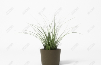 C4Dֲ̲Իģ Bush -Pot -Plantmodel