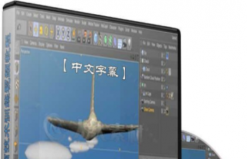中文字幕翻译教程《C4D摄像机动画技术训练视频教程》