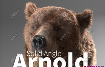 C4D阿诺德物理渲染器插件最新版下载 Arnold 3.3.7 支持R21-24版本软件