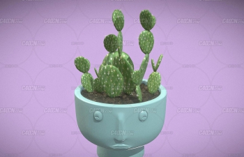 C4Dװֲģ Cactus Decor