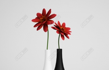 C4D模型 菊芋花草植物花朵模型