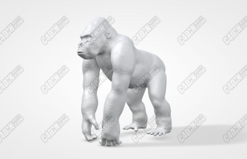 C4Dɶģ C4D gorilla animal sculpture model