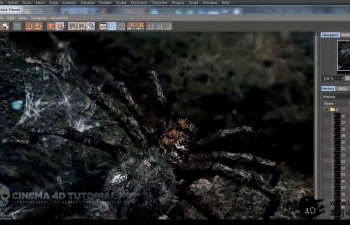 C4D+AE巨型蜘蛛建模雕刻绑定教程Cinema 4D Tutorial.Net - Giant Spider Compositi...