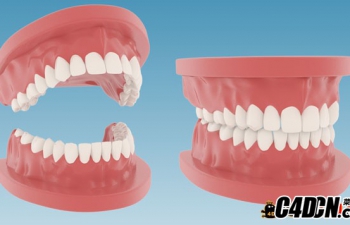 C4D ģ Mode Teeth Dentures