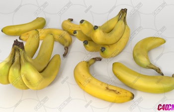 㽶ˮģ Bananas Fruit model