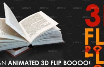 AEһ鶯ɽű 3D Flip Book v1.2