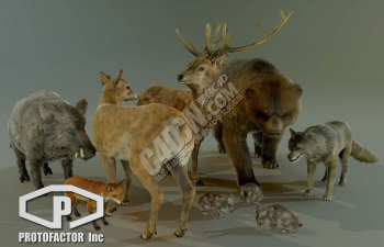 7个高质量野生动物模型合集(包含骨骼绑定和动画)