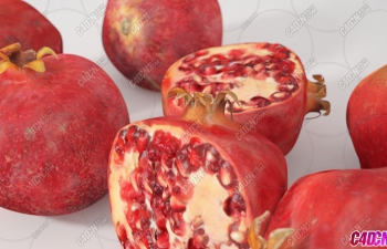 ʯˮģ Pomegranate Fruit model