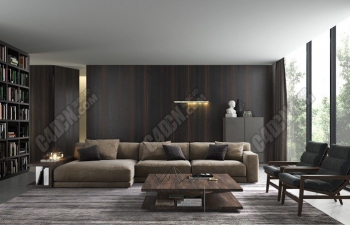 C4Dڽģ architecture living room engineering model