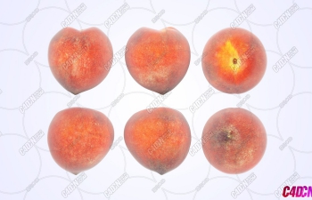 ˮģ Peaches Fruit model