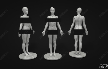 C4DŮɨ輡ģ 3DTotal Anatomical Collection Female Figure
