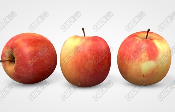 C4Dдʵƻģ realistic and realistic apple model
