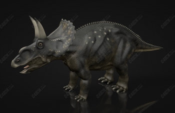 C4Dдʵģͺ Diceratops Dinosaur 3D Model
