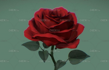 一朵带刺的玫瑰花CINEMA 4D植物模型