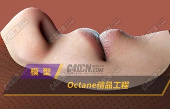 Octane渲染器生化人皮肤嘴唇鼻子半块脸C4D模型
