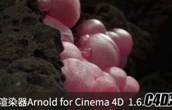 ŵȾArnold for Cinema 4D 1.6.0 R16-R18װ̡̳