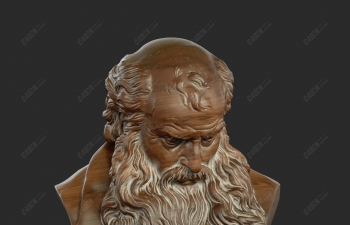 C4D大胡子老头半身雕像雕塑模型 Head of a Bearded Old Man
