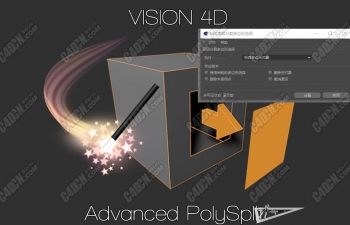 C4D Ѳ Vision4D Advanced PolySplit